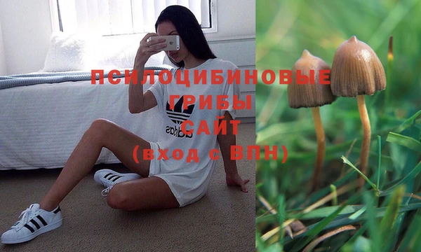 первитин Кодинск