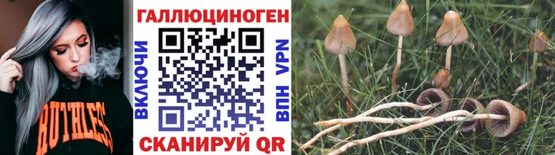 Купить  Арск  Псилоцибиновые грибы GOLDEN TEACHER 
